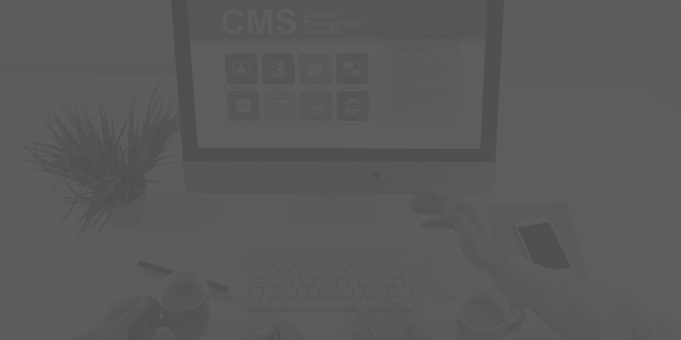 Content Management System | WebWiseChoice