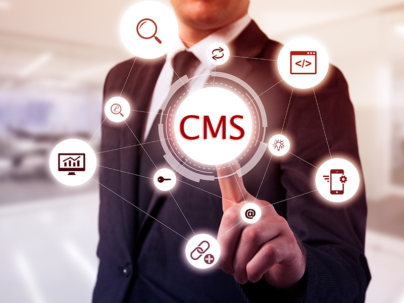 WebWiseChoice - Content Management Systems